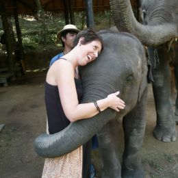 Alice and Elephant Chiang Mai